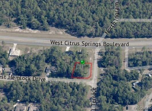 805 W Hemlock Dr, Citrus Springs, FL 34434