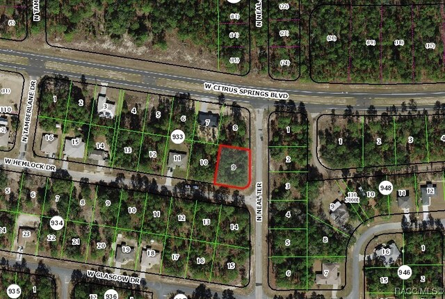 805 W Hemlock Dr, Citrus Springs, FL 34434