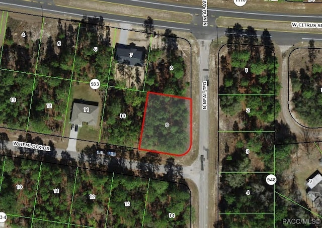 805 W Hemlock Dr, Citrus Springs, FL 34434