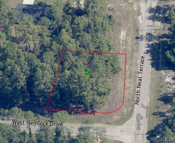 805 W Hemlock Dr, Citrus Springs, FL 34434