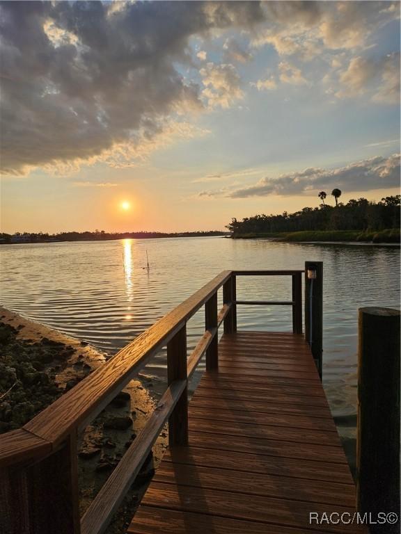 dock area with a water view