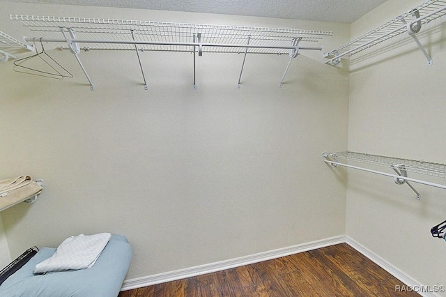 11938 W Blue Bayou Ct Unit 331, Crystal River, FL 34429 - spacious closet with dark wood-type flooring