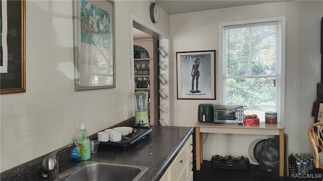 kitchen with a healthy amount of sunlight and sink