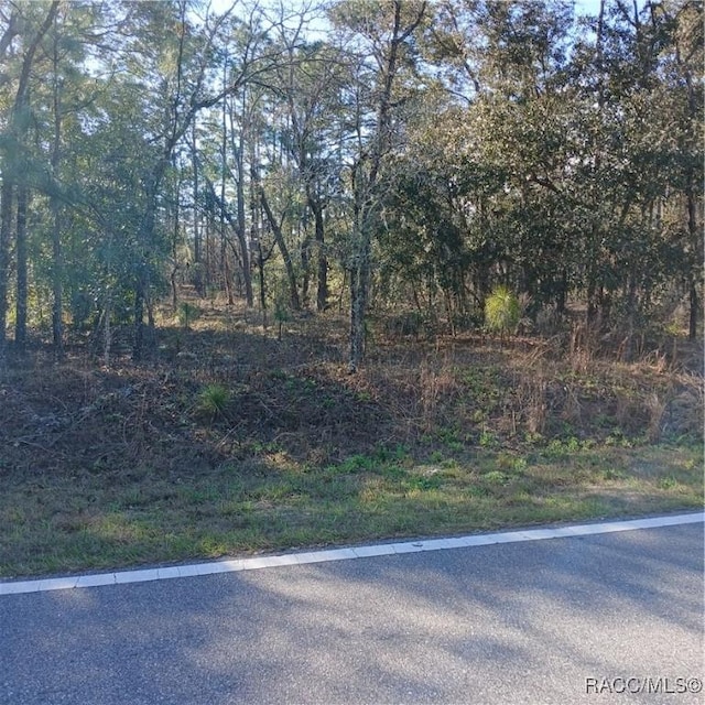 Listing photo 2 for TBD NW Ridgewood Rd, Dunnellon FL 34431