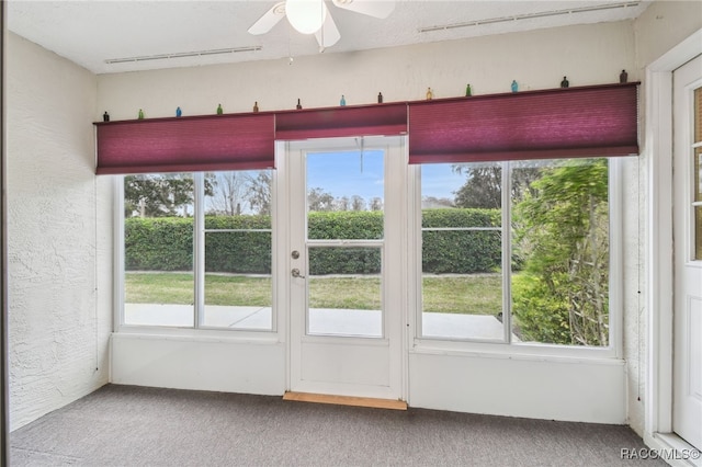 entryway with carpet, ceiling fan, and a healthy amount of sunlight