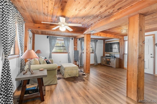 living room with beam ceiling, wooden ceiling, ceiling fan, and light wood-type flooring