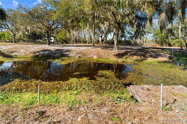 view of yard featuring a water view