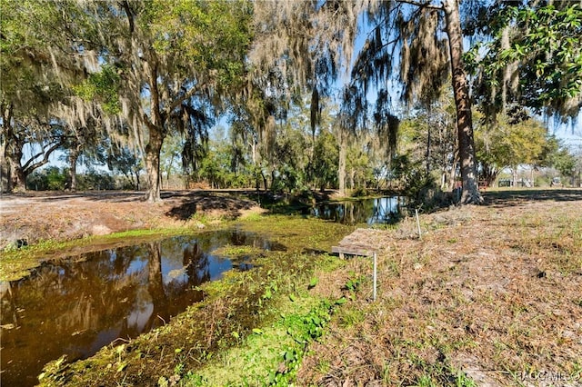 view of yard with a water view