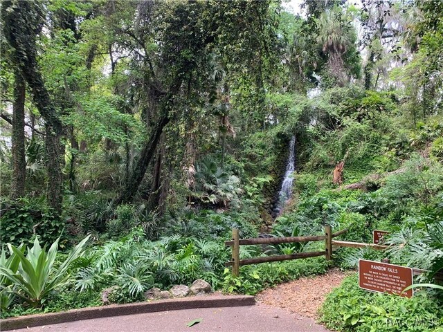 9530 SW 189th Ct, Dunnellon, FL 34432 - view of yard featuring a forest view