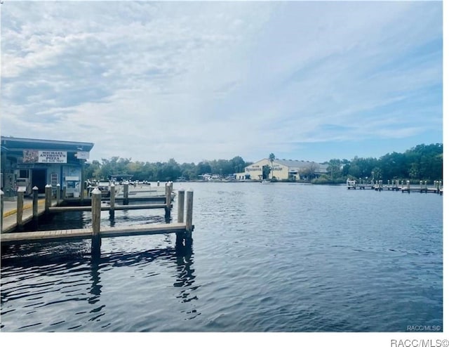 dock area with a water view