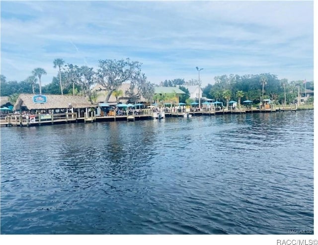 water view featuring a boat dock