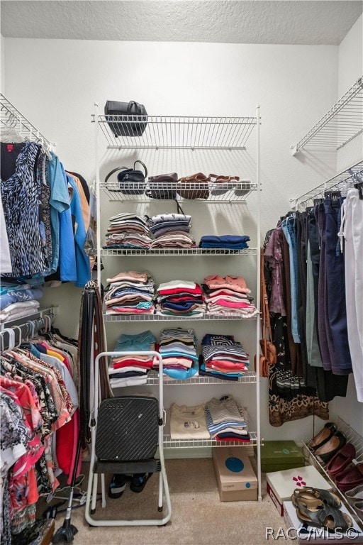 spacious closet with carpet flooring