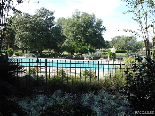 view of swimming pool