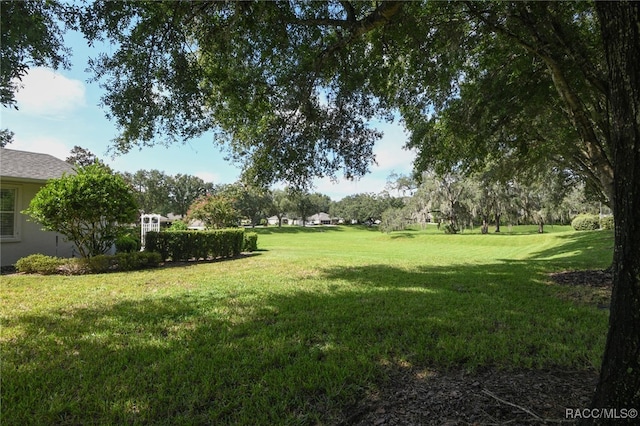 view of yard