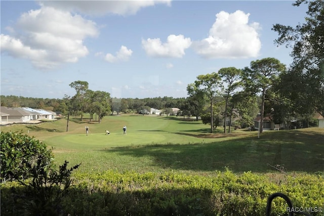 view of community with a lawn