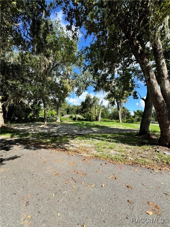 Listing photo 3 for 4864 S Whitetail Ter, Floral City FL 34436