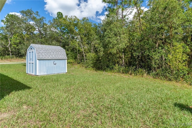 view of yard featuring a storage unit