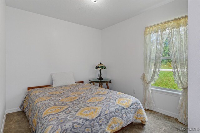 carpeted bedroom with multiple windows