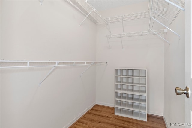 spacious closet featuring wood-type flooring