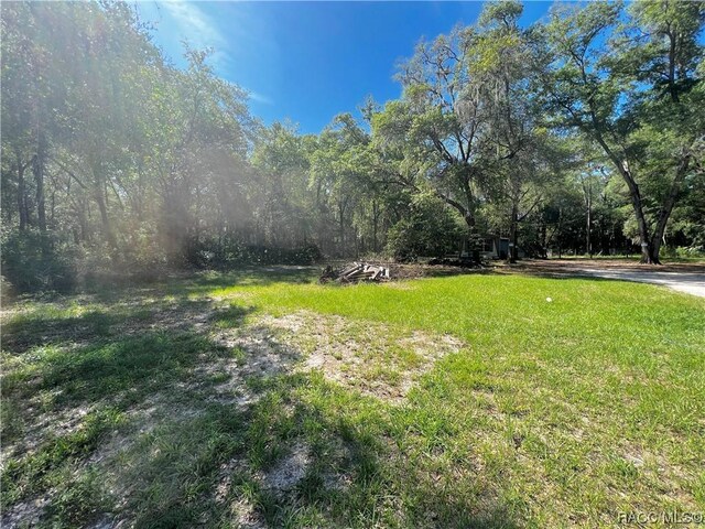 1628 S Palm Ave, Homosassa, FL 34448 - photo 13