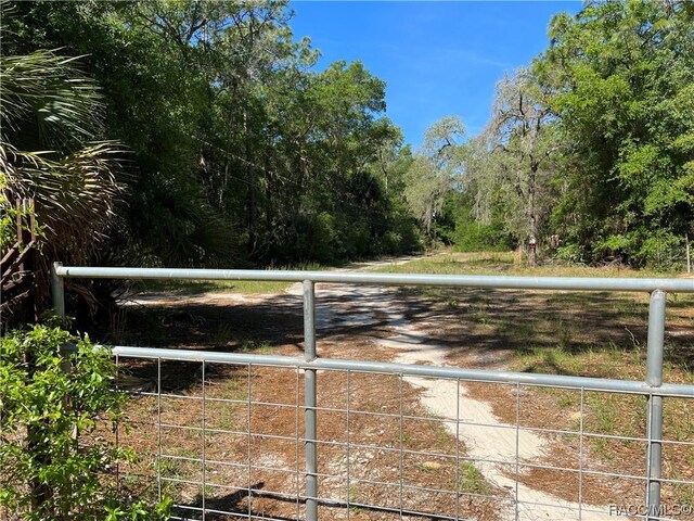 1628 S Palm Ave, Homosassa, FL 34448 - photo 15