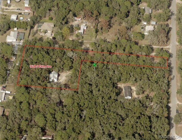 1628 S Palm Ave, Homosassa, FL 34448 - photo 16