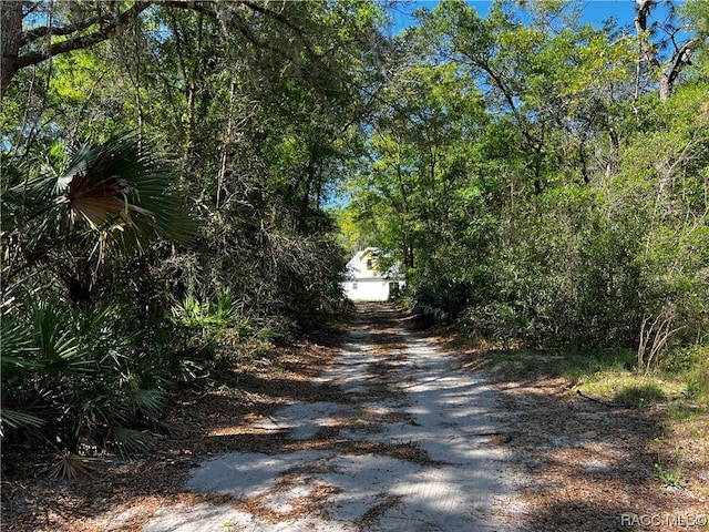 view of road