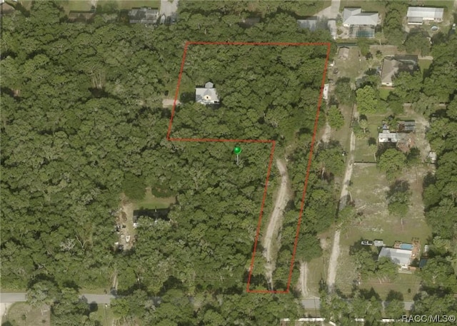 1628 S Palm Ave, Homosassa, FL 34448 - photo 19