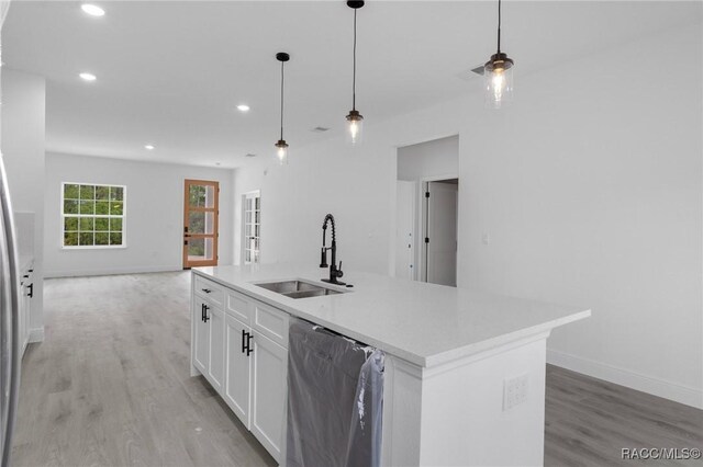1083 W Cary Dr, Citrus Springs, FL 34434 - kitchen with light wood finished floors, stainless steel dishwasher, a sink, recessed lighting, and white cabinetry
