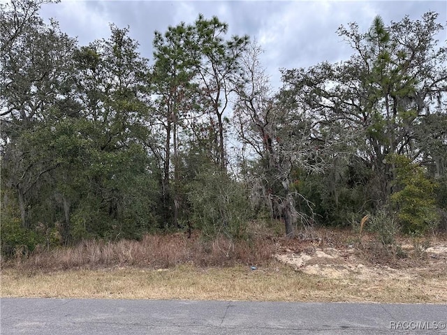 3027 E Dawson Dr, Inverness FL, 34453 land for sale