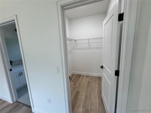 spacious closet featuring light hardwood / wood-style flooring