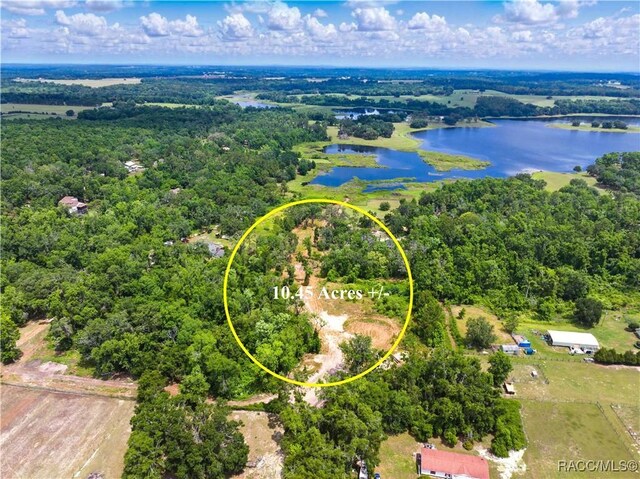 0 Dan Brown Hill Rd, Brooksville, FL 34602 - photo 10