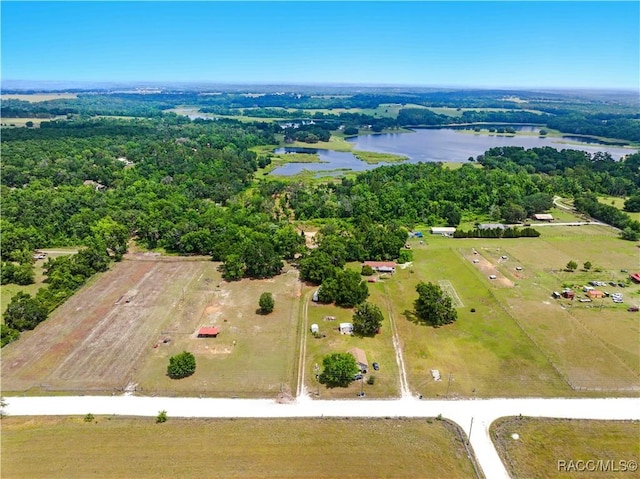 0 Dan Brown Hill Rd, Brooksville, FL 34602 - photo 8