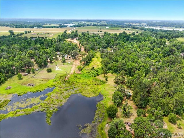 0 Dan Brown Hill Rd, Brooksville, FL 34602 - photo 16