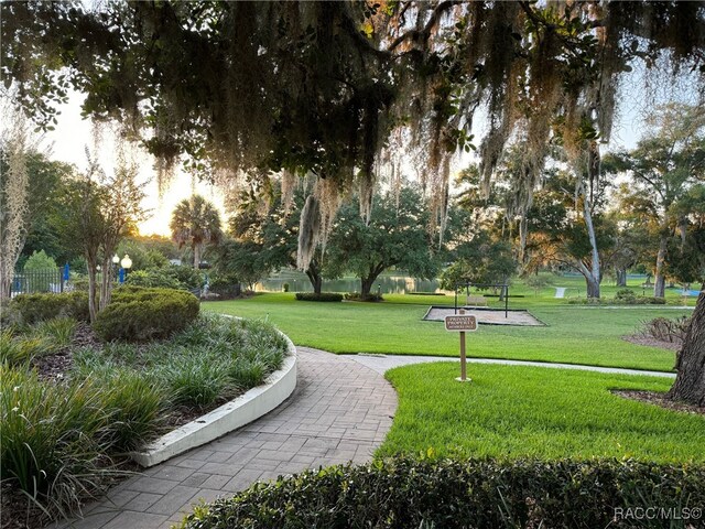 view of home's community with a lawn