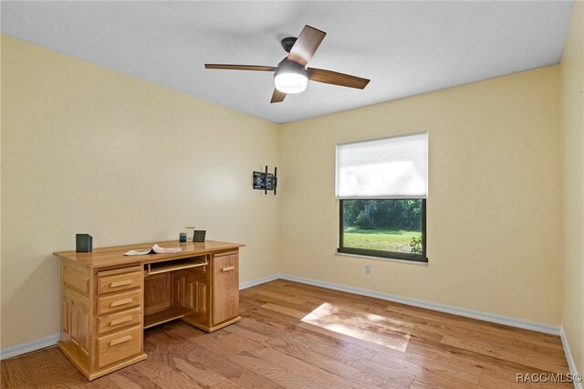 office featuring ceiling fan and light hardwood / wood-style flooring