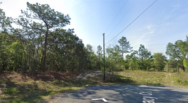 2779 W Tracy Ct, Dunnellon FL, 34433 land for sale