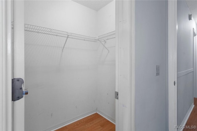 walk in closet featuring wood-type flooring