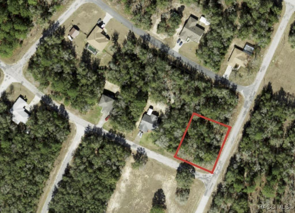 2489 W Castle Rd, Citrus Springs, FL 34434