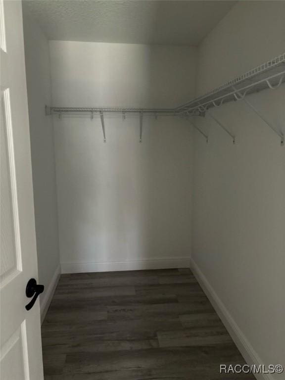 3289 W Camilo Dr, Dunnellon, FL 34433 - spacious closet featuring dark wood-type flooring