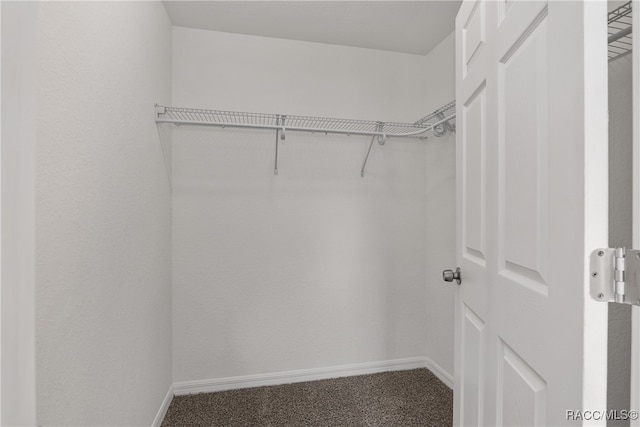 walk in closet with carpet