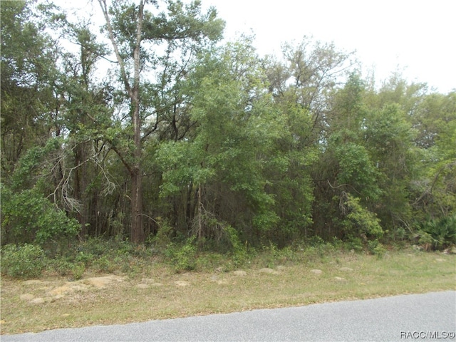 1964 E Celina St, Inverness FL, 34453 land for sale