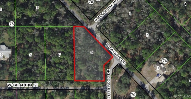 11653 W Caladium St, Crystal River FL, 34428 land for sale