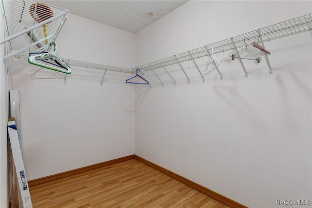 spacious closet featuring hardwood / wood-style floors