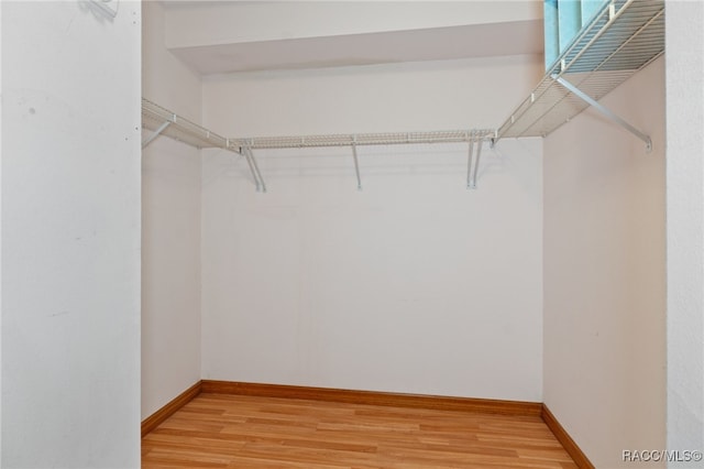 walk in closet with wood-type flooring