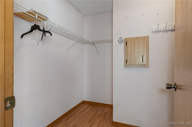 spacious closet featuring light wood-type flooring