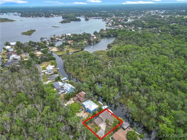 857 N Palm Springs Ter, Crystal River, FL 34429 - view of property location featuring a nearby body of water, property boundaries highlighted, a heavily wooded area, and nearby suburban area