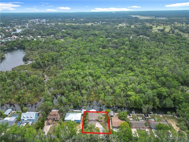 857 N Palm Springs Ter, Crystal River, FL 34429 - aerial view of property's location with a large body of water, property parcel outlined, and a heavily wooded area