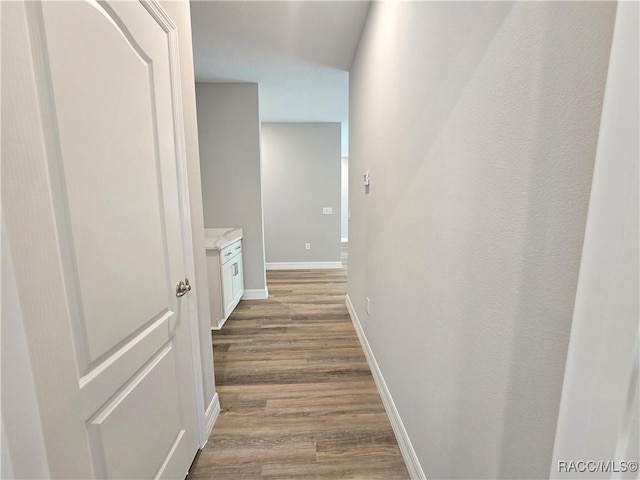 8 Calendula Ct, Homosassa, FL 34446 - corridor featuring wood finished floors and baseboards