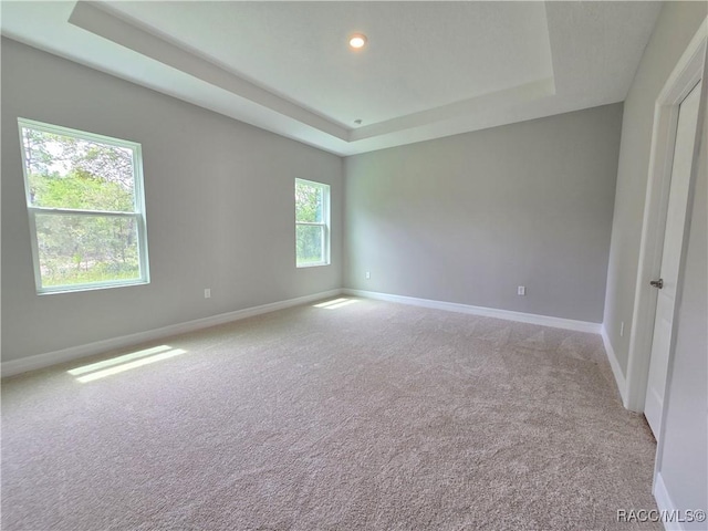 8 Calendula Ct, Homosassa, FL 34446 - spare room with a raised ceiling, light colored carpet, baseboards, and recessed lighting